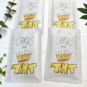 TNT时代少年团加冠礼演唱会周边重码 小卡包嘉祺严浩翔宋亚轩真源