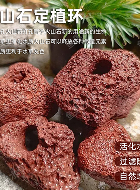 红色带孔天然火山石定植环鱼缸龟缸水草固定种植造景装饰水草底座