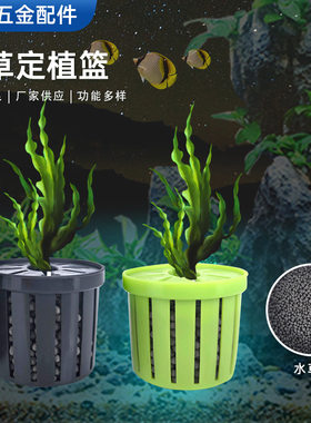 网红新款水草定植篮家用鱼缸造景养草杯固根器水草泥沉底固定器