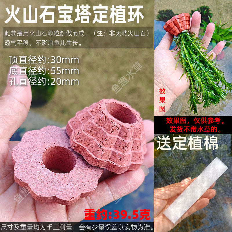 新款火山石宝塔水草定植环培菌石净水石大小号陶瓷固定重力奈米环