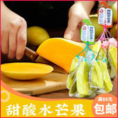 龙正香甜酸吊芒果条400克 风味腌芒果片酸脆水芒果干凉果蜜饯 泰式