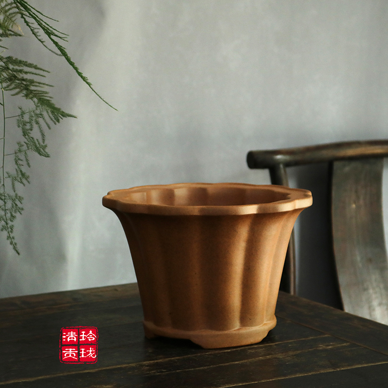 紫砂柴烧筋囊兰花仙人球盆景花盆