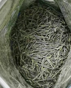 2026湖北红安茗茶提神绿茶红安绿茶一斤装红安绿茶湖北绿茶兰花香
