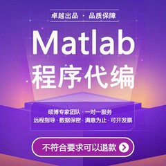 matlab代编程序代做Python深度机器图像信号处理代码仿真帮做编程