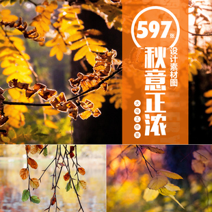 秋意正浓设计素材大图唯美秋天风景秋日风光JPG图片