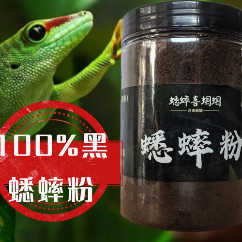 油葫芦白蟋蟀粉超香肉食性