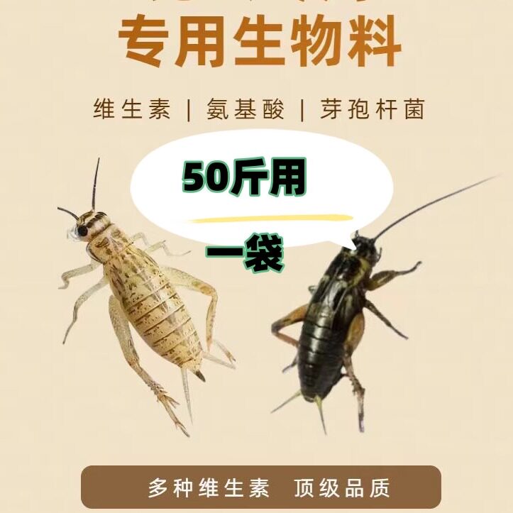 白蟋蟀油葫芦黑蛐蛐杜比亚樱桃蟑螂黄粉虫大麦虫饲料预制料添加剂