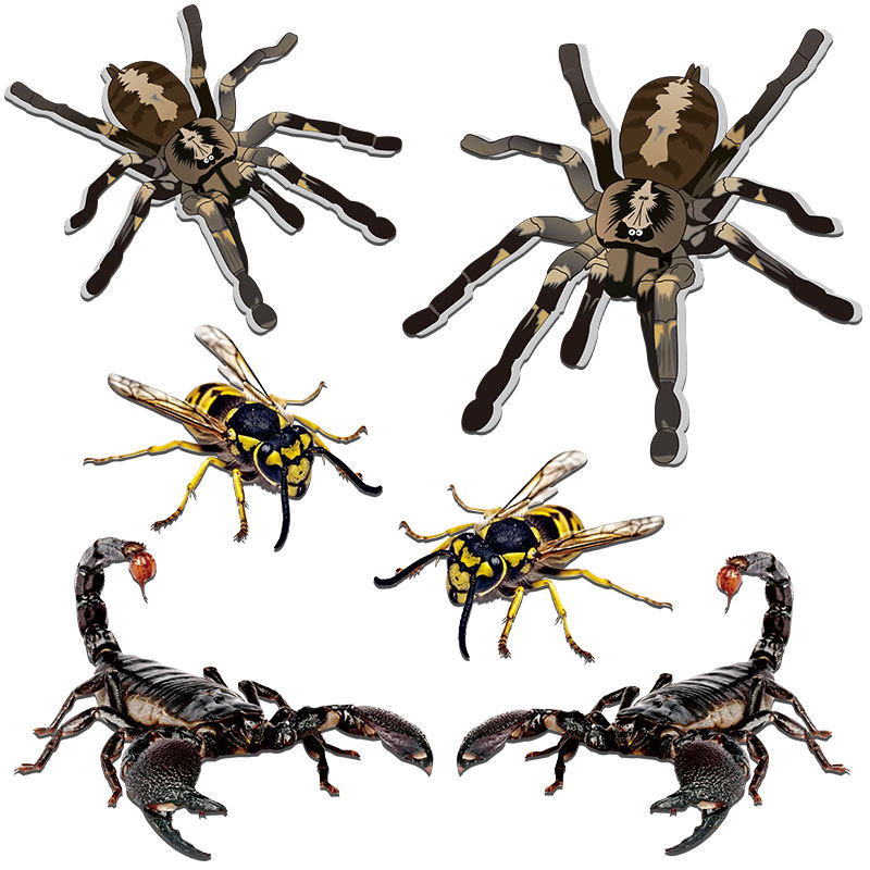 汽车个性3D立体蜘蛛蝎子蜜蜂车贴创意个性逼真动物贴纸划痕遮挡贴,汽车用品/电子/清洗/改装,汽车装饰贴/反光贴,淘宝优惠券,粉丝福利购,淘宝优惠卷