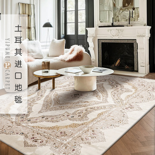 土耳其进口地毯客厅美式高级卧室极简欧式轻奢加厚法式复古茶几毯