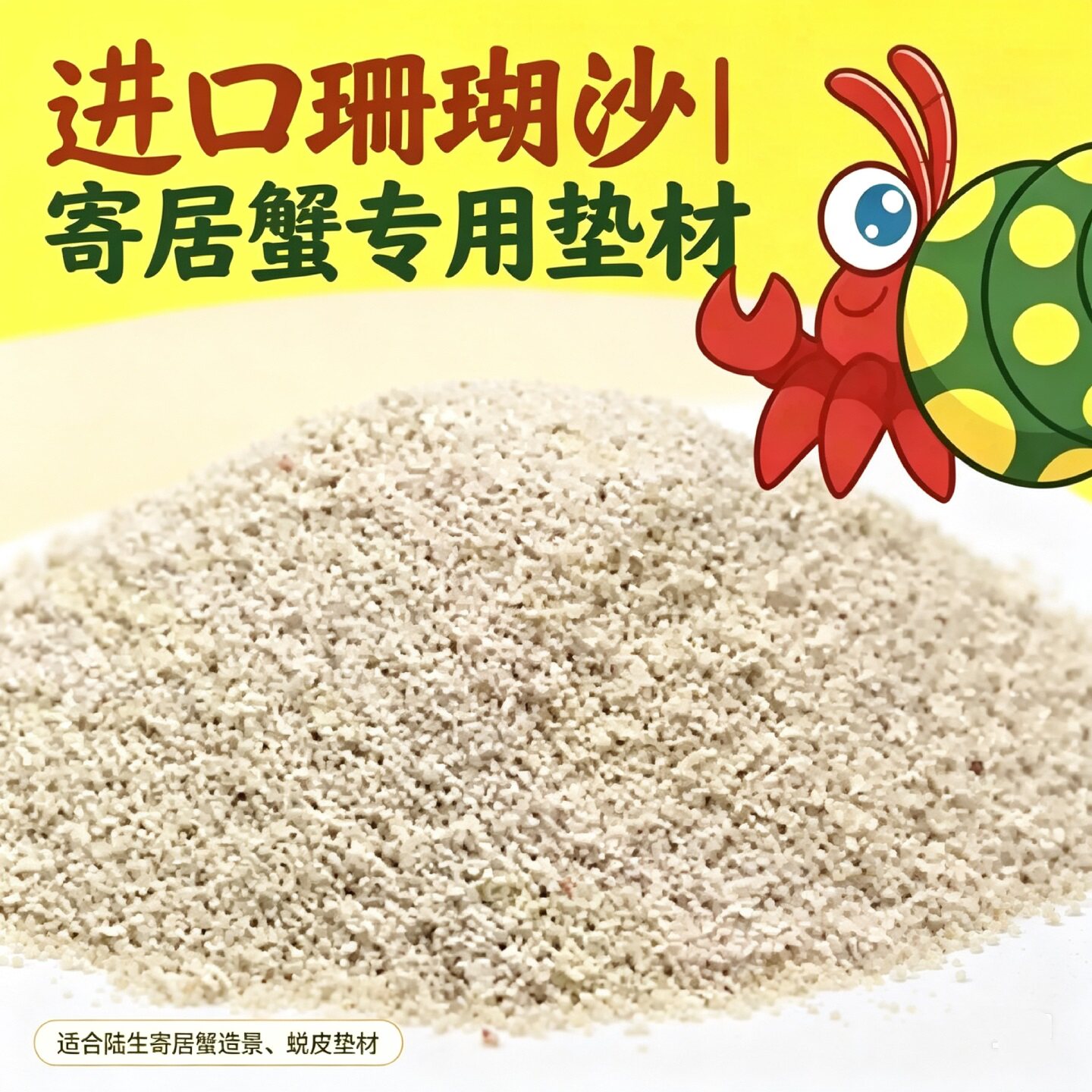 寄居蟹专用垫材珊瑚沙原产菲律宾无毒无异味利于装饰栖息保湿蜕壳