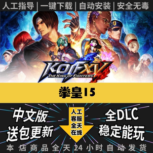 拳皇15 THE KING XV整合DLC網盤中文單機PC離線游戲 FIGHTERS