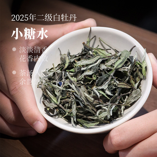 【深山行】2025小糖水白牡丹散茶 福鼎白茶管阳高山白茶 日晒新茶