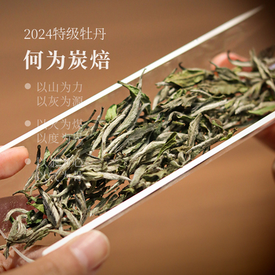 2024明前一级散茶高山茶