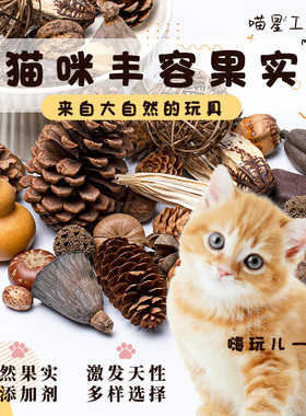 猫咪丰容果实干果玩具松果宠物天然植物丰荣麦穗小猫气味解闷自嗨