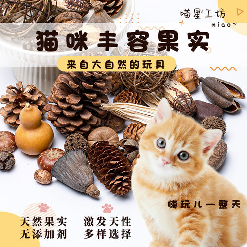 猫咪丰容果实天然植物气味