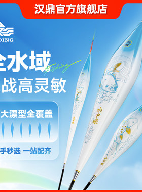 水中眼汉鼎纳米超醒目黑坑大物漂