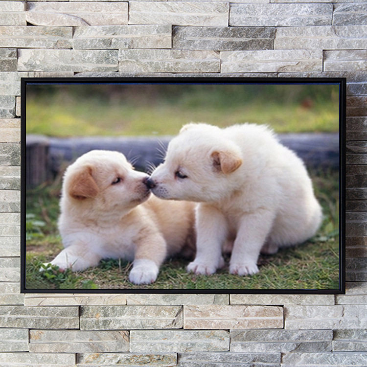 5d钻石画满钻新款两只小狗可爱动物点钻十字绣学生小幅砖石贴钻画