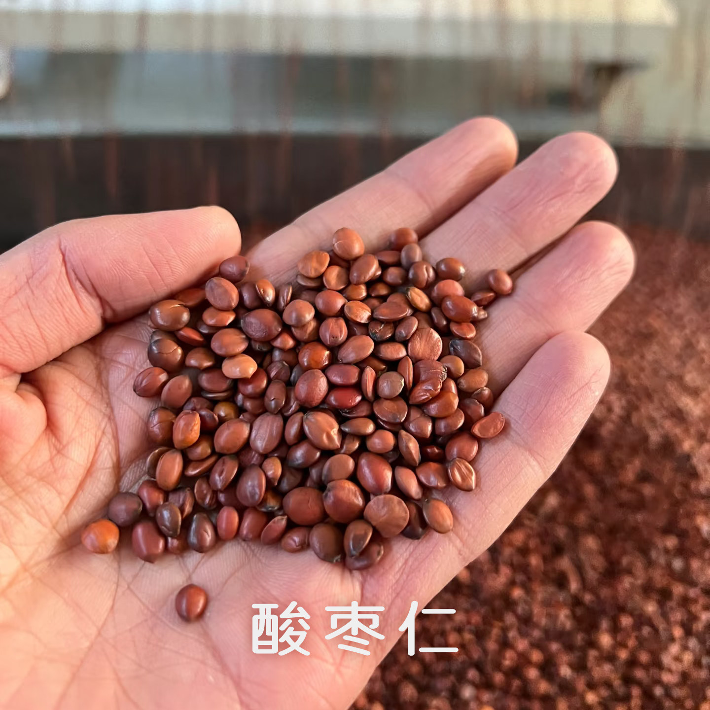 喜己食养·酸枣仁丨正宗野酸枣河北邢台野生酸枣仁精选国产酸枣仁