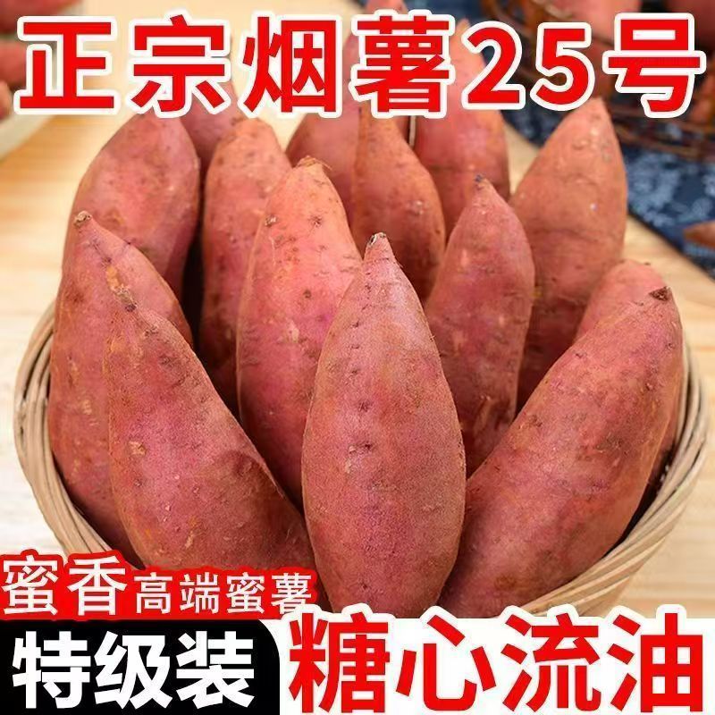 山东烟薯25号蜜薯糖心红薯新鲜番薯农家沙地烤地瓜农科院山芋