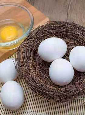 生鲜鸡蛋土鸡蛋新鲜散养白羽鸡蛋白壳蛋白皮喜蛋产地直发批发营养