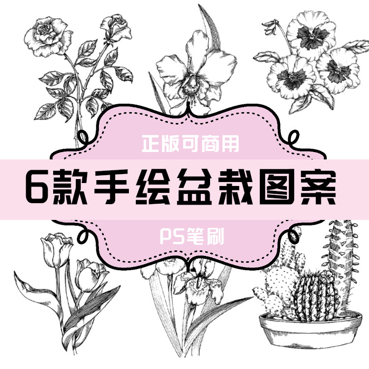 b122 ps笔刷 手绘盆栽图案 手绘植物 手绘花卉 6款