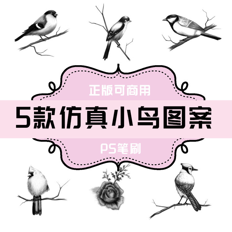 b130 ps笔刷 仿真小鸟图案5款