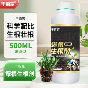 丰亩家爆根生根剂移栽扦插生根水营养液植物促根通用多爆根生根王