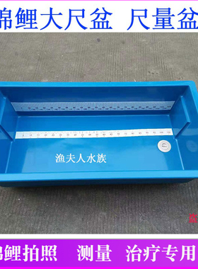锦鲤测量盆尺盆龙鱼专用蓝色盆1.2米方形量尺防水度量池治疗蓝盆