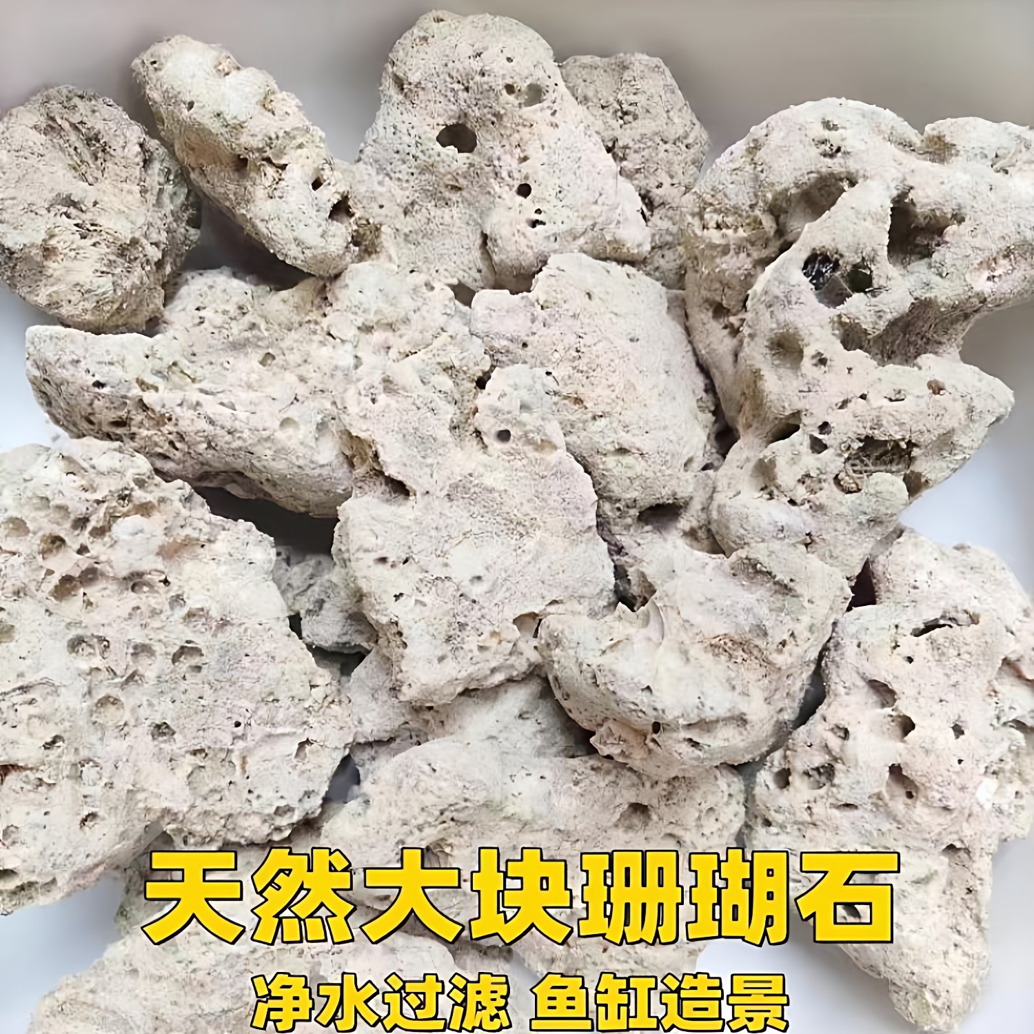 鱼缸过滤珊瑚石造景海鲜池锦鲤鱼池专用天然珊瑚骨底砂滤材大块,宠物/宠物食品及用品,过滤材料,淘宝优惠券,粉丝福利购,淘宝优惠卷