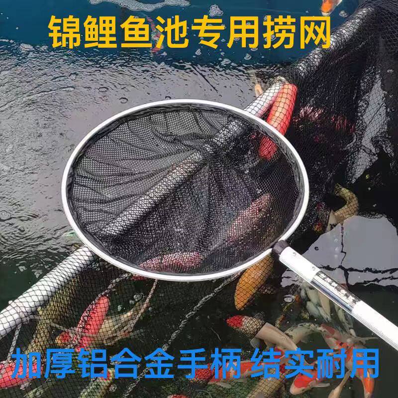 杉坂锦鲤捞网鱼池专用大抄网短柄捞鱼网网兜捞龙鱼网无结不伤鱼