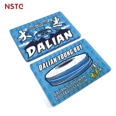 【NSTC原创冰箱贴】 大连英博球迷冲超纪念大连梭鱼湾文创周边新