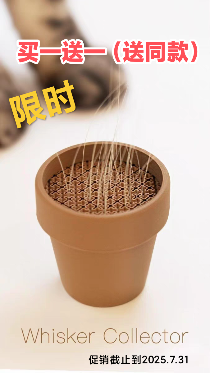 宠物猫咪胡须收集器3D打印设计花盆摆件