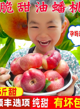 2026顺丰纽扣油蟠桃新鲜孕妇水果陕西奶油纯甜脆无毛扁潘红5