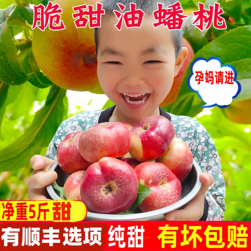 顺丰陕西油蟠桃新鲜采摘香甜脆软