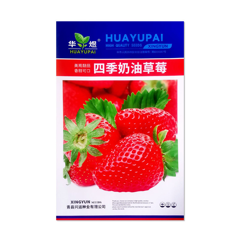 华煜四季草莓种子水果种子