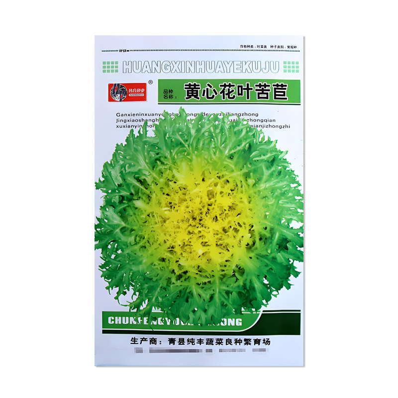韩育黄心花叶苦苣种子