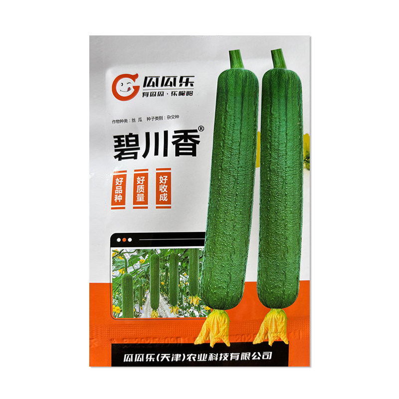 瓜瓜乐碧川香丝瓜种子