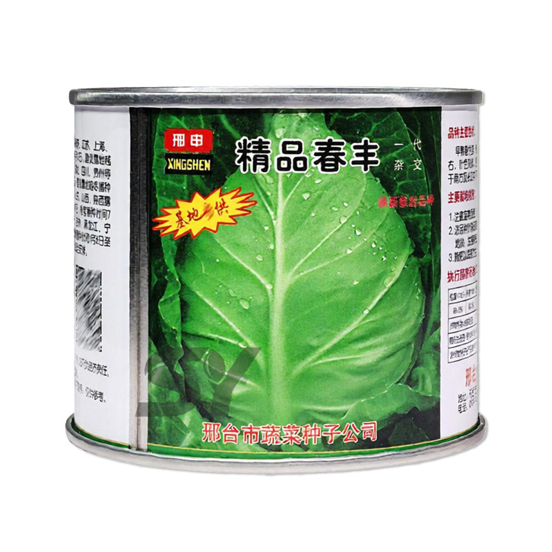 邢申精品春丰甘蓝种子