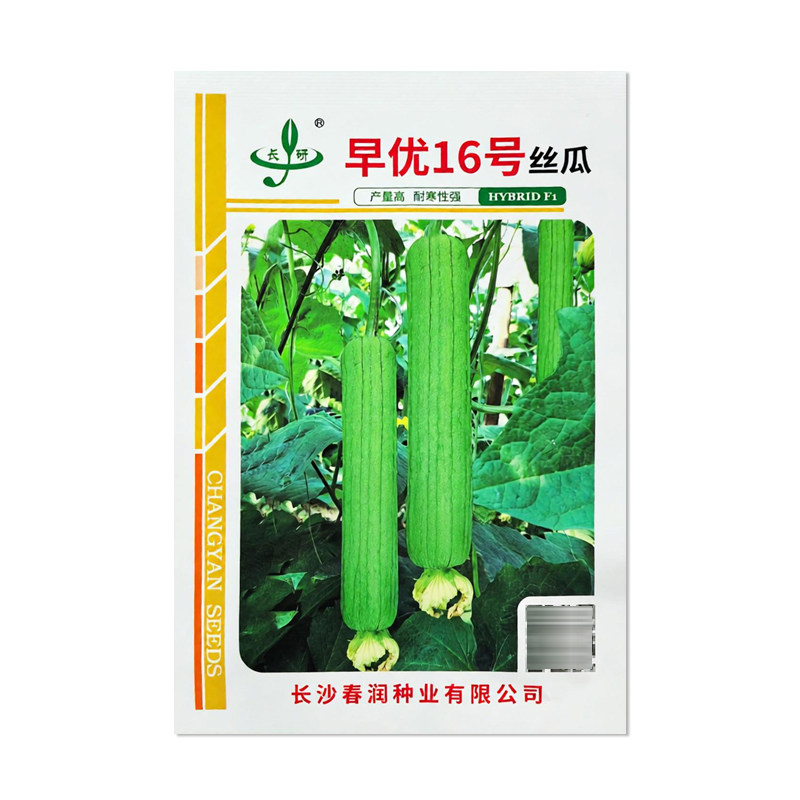长研早优16号丝瓜种子