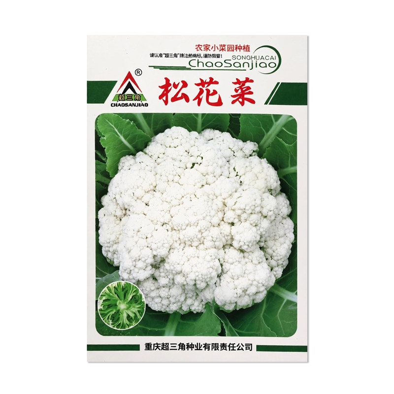 超三角松花菜种子蔬菜种子