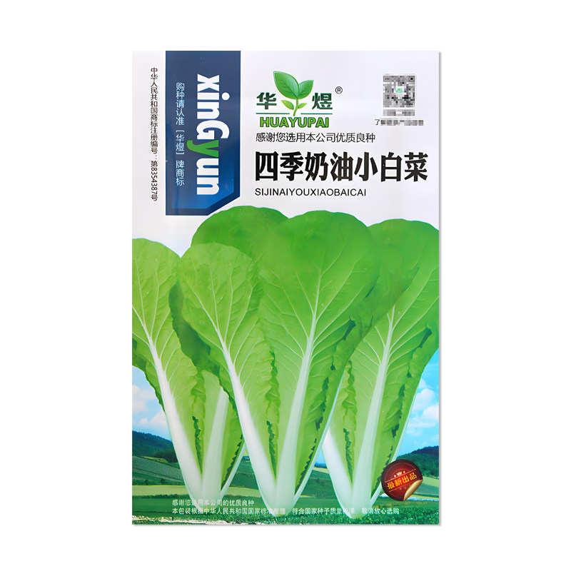 华煜四季奶油小白菜种子