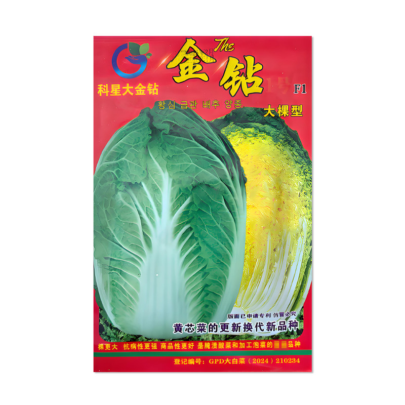 科星金钻大白菜种子白菜种籽