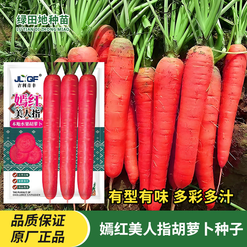 嫣红美人指胡萝卜种子