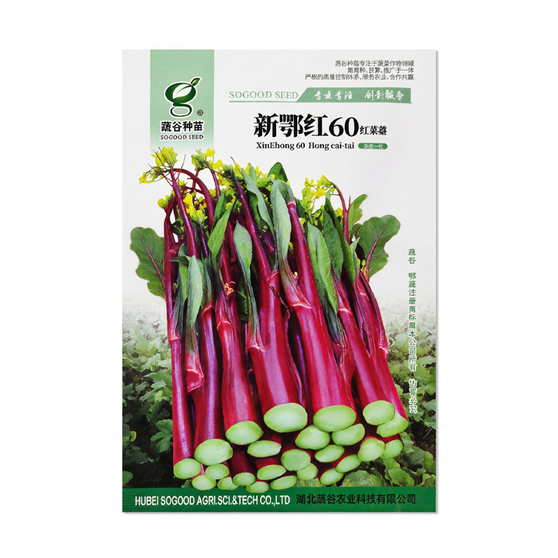 蔬谷种苗新鄂红60红菜苔种子