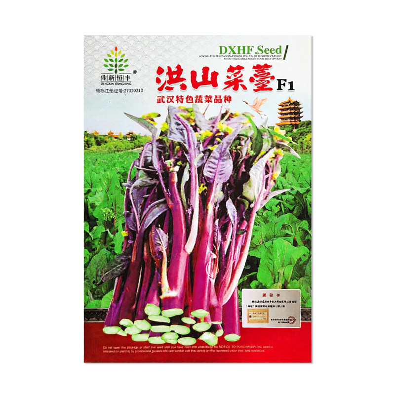 鼎新恒丰洪山菜苔种子