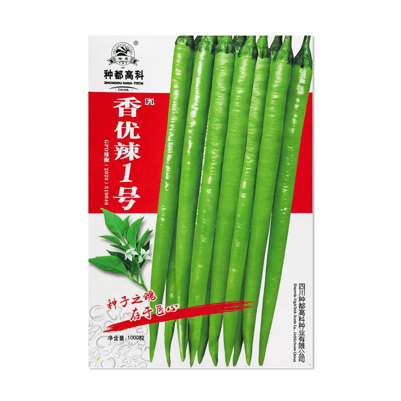 种都高科香优辣1号辣椒种子