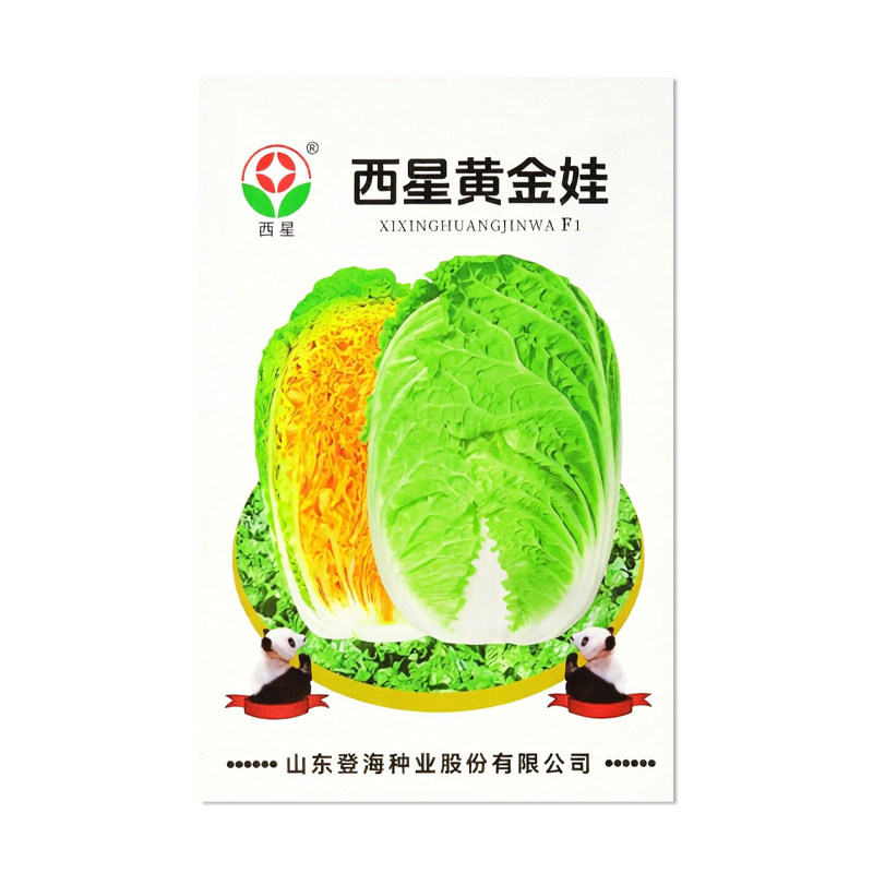 西星黄金娃白菜种子蔬菜种籽