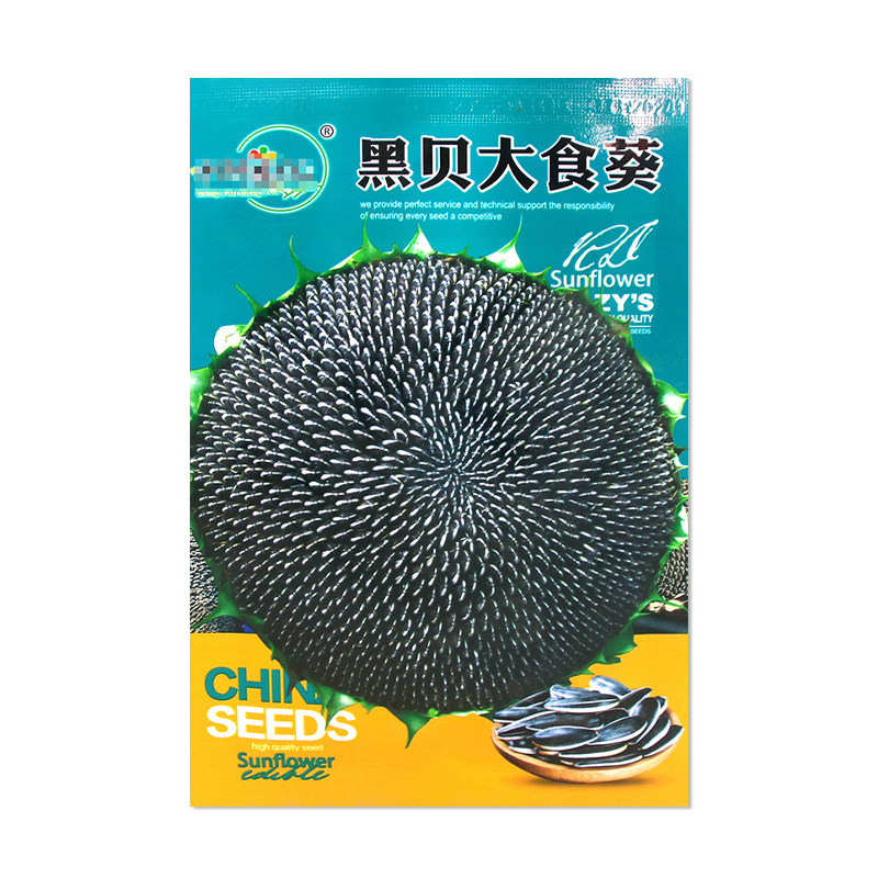 中研盛优黑贝大食葵种子