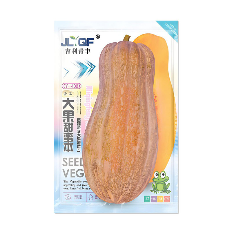 吉利青丰大果甜蜜本南瓜种子