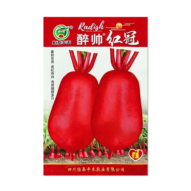 恒泰丰禾醉帅红冠萝卜种子